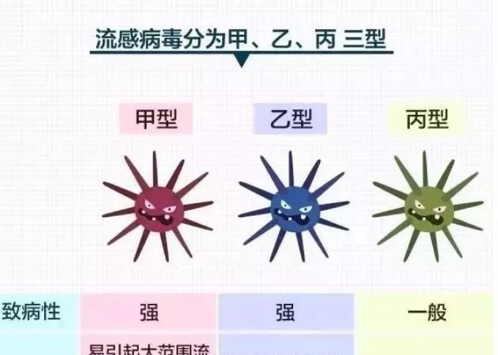 疫情叫啥名，这次疫情名字叫什么?它属于哪种类型的传染病?