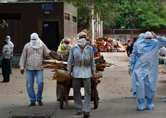 国内疫情最新死亡数据，中国疫情最新死亡人数详情