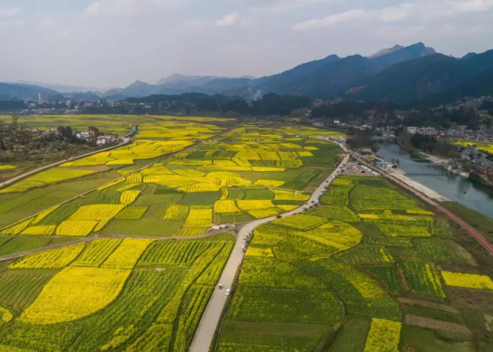 贵州疫情最新报道今天，贵州疫情最新数据消息今天新增