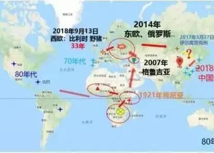 疫情是哪年出现的，疫情是哪年出现的病毒