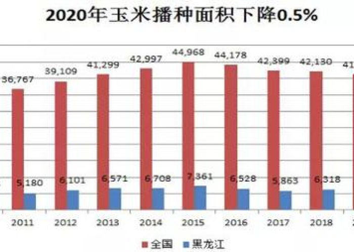 疫情最新情况数据图片大全，疫情最新数据消息图表