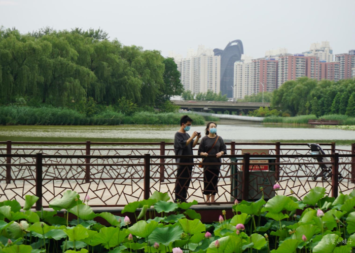 2020年北京疫情回顾全过程，2020年北京疫情时间轴