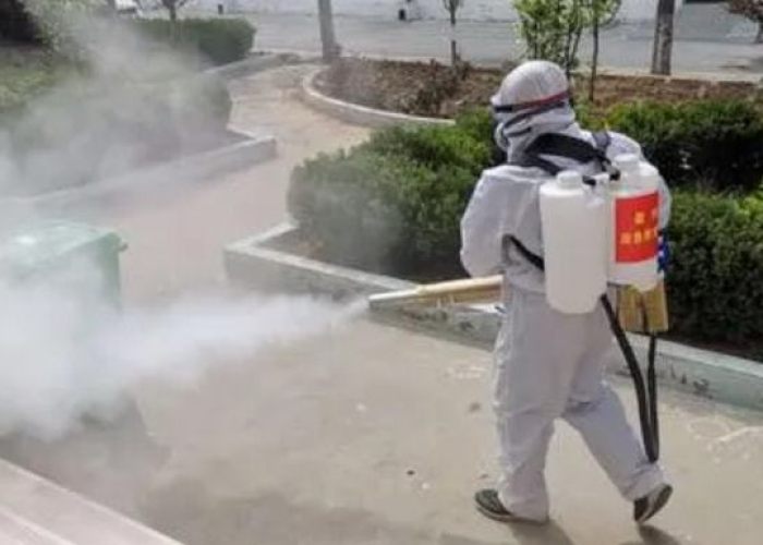 疫情哪年爆发的最新消息，疫情哪年发生