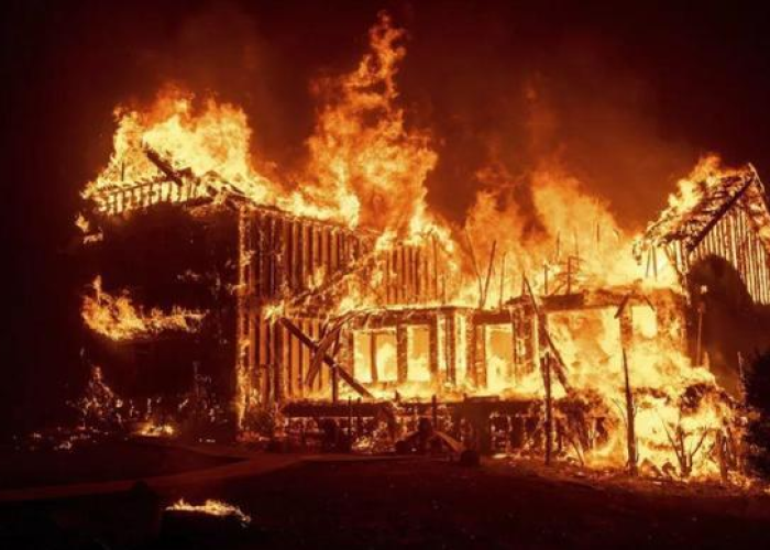 疫情是那一年开始爆发的，疫情哪年开始爆发