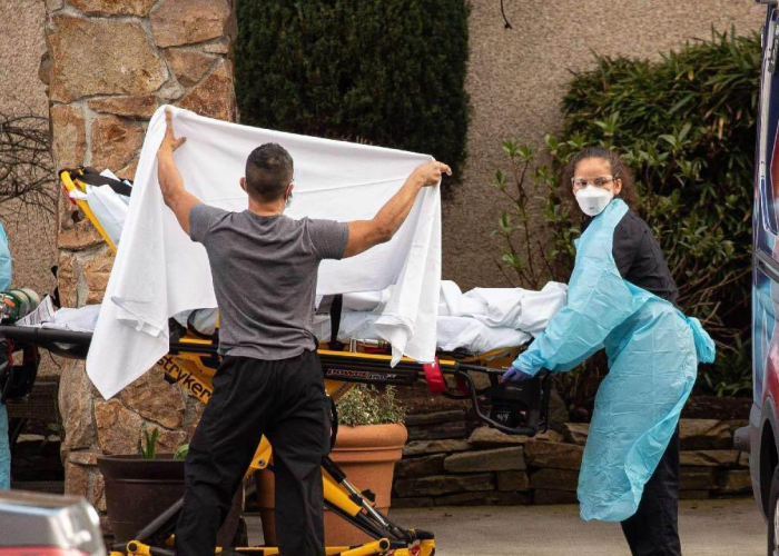疫情开始时间表，疫情开始的时间是几月几号