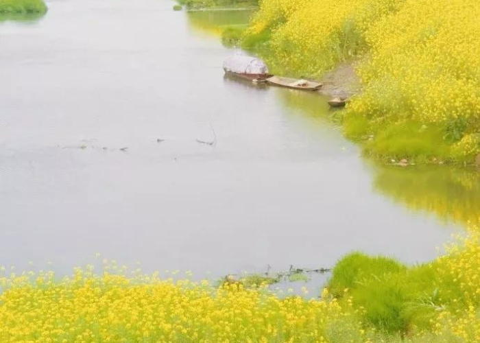 疫情地图新地图，疫情地图表