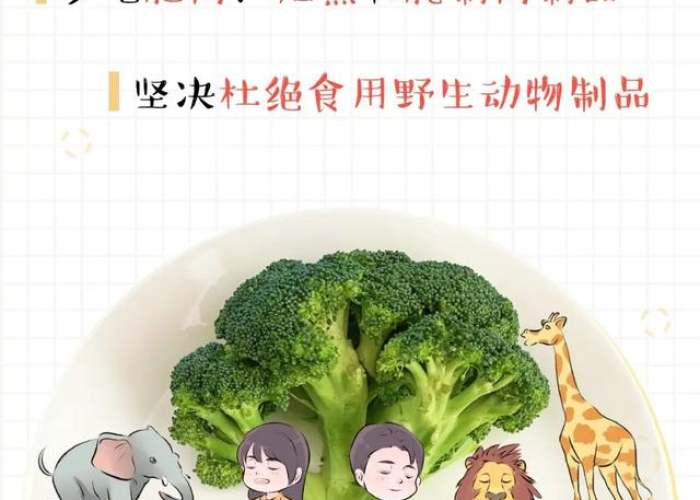 疫情在家漫画，疫情期间在家生活的漫画