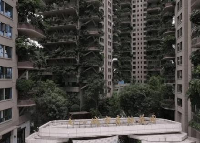 疫情最新数据消息8.2，疫情最新数据消息826