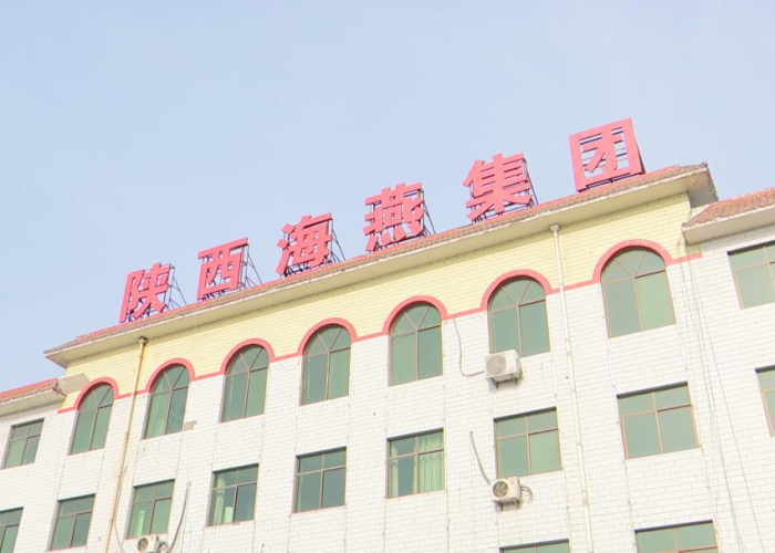 2020年疫情是谁发现的，2020年疫情是什么时候爆发的
