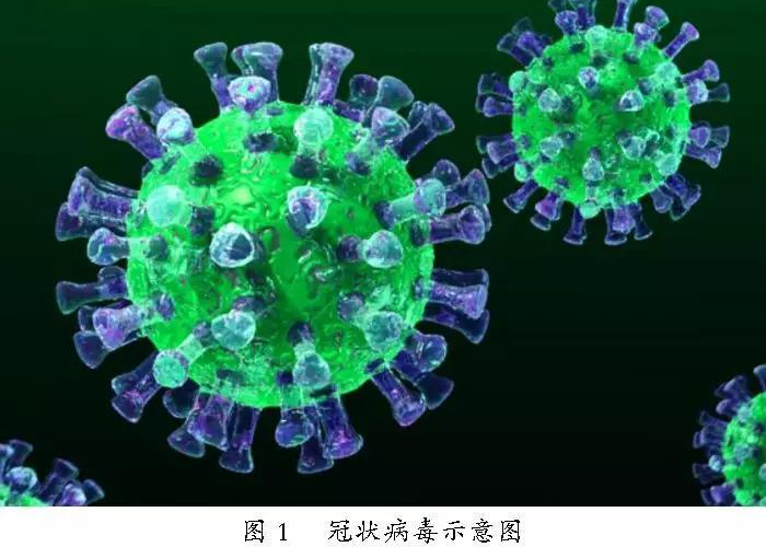 疫情病毒名称叫什么，近期的流行病毒叫什么
