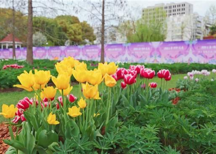 上海疫情2020什么时间开始，2021年上海疫情几号开始的