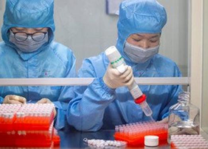 新冠病毒疫情从什么时候开始的，新冠病毒疫情从什么时候开始的呢