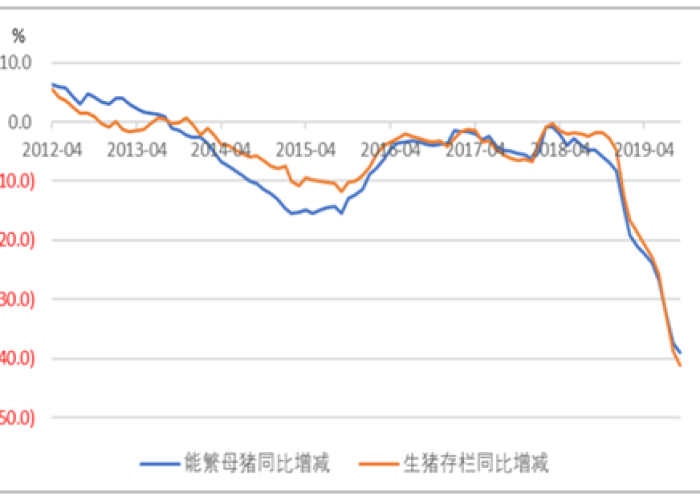 2019年疫情在几月几日开始，2019年几月爆发疫情