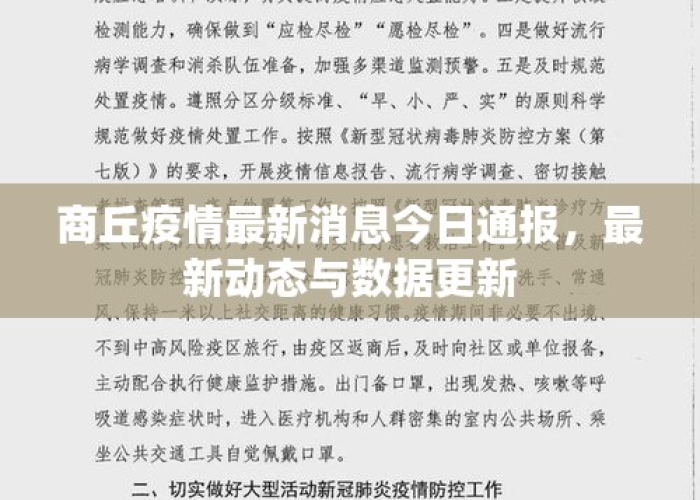 沈丘疫情最新数据消息今天新增，沈丘疫情最新数据消息今天新增多少