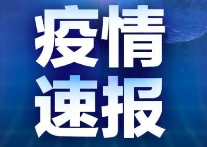 疫情最新数据消息24号，疫情最新消息今天新增病例2月20号