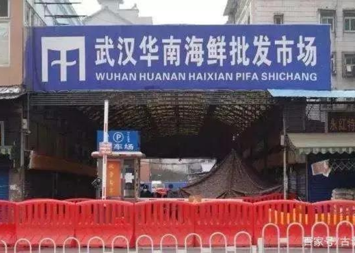 武汉新冠疫情是什么时候封城的，武汉新冠肺炎是什么时候封城的