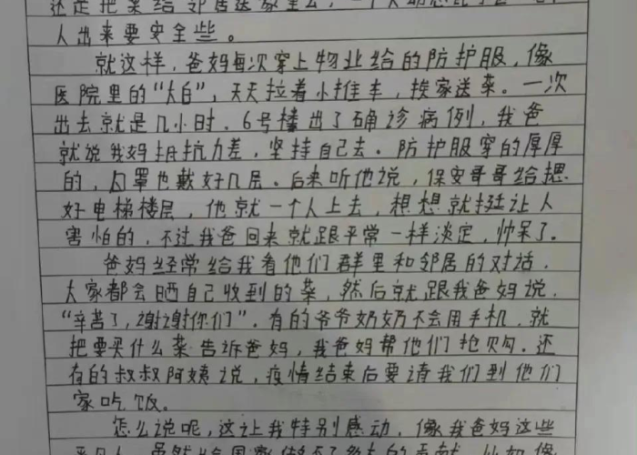 中国的疫情的作文，中国 疫情 作文