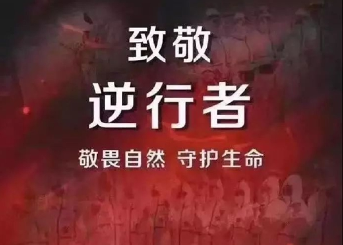 疫情开始于什么时间爆发，疫情从什么时候爆发的