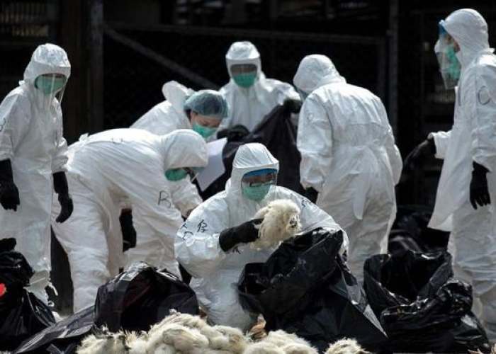 疫情什么时候才能开始，疫情什么时候正式爆发