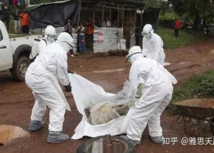 中国疫情什么时候开始发生的，中国疫情啥时候发生的