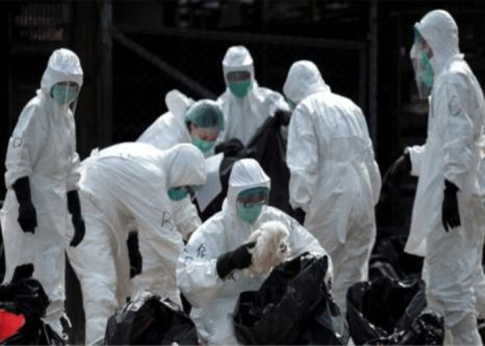 疫情在哪年爆发过，疫情发生哪年