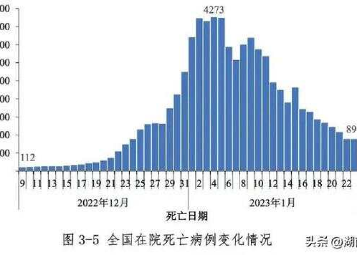 最新疫情死亡情况，最新疫情死亡情况分析