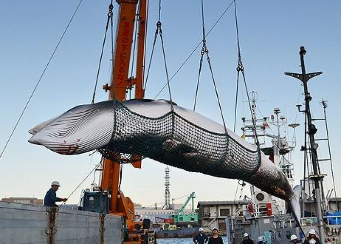 贵州疫情最新消息2024年，贵州疫情2021