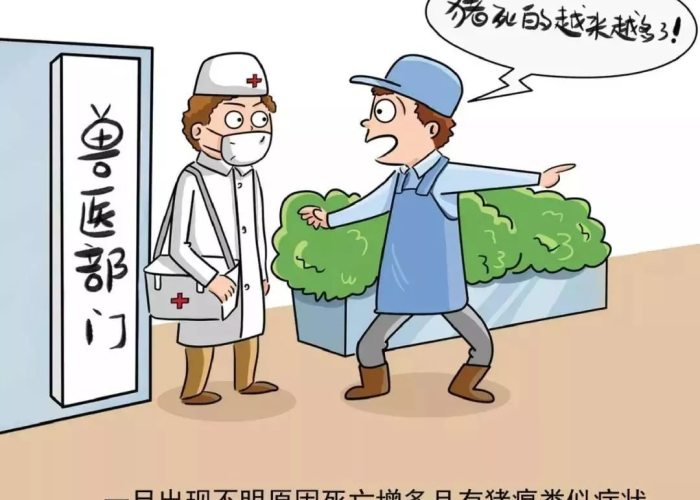 上一次疫情是什么，上一次疫情是什么时候开始的