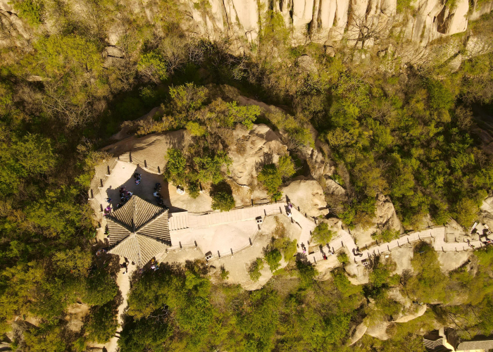 疫情什么时候全面开放几月，疫情什么时候才开放