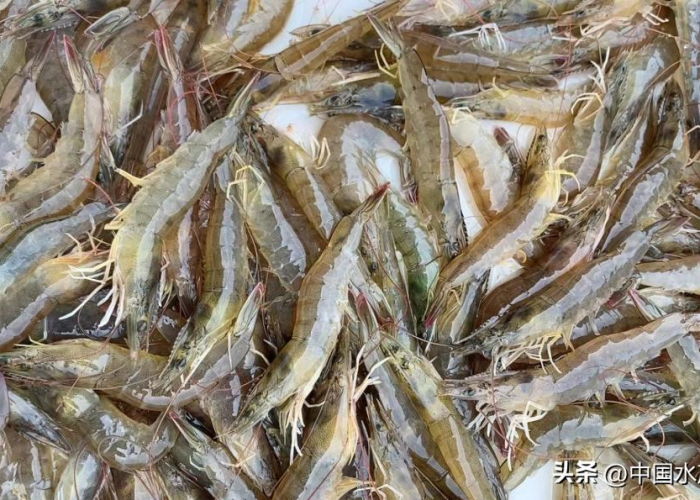 中国疫情开始和结束时间是哪一年，中国疫情开始时间和结束时间