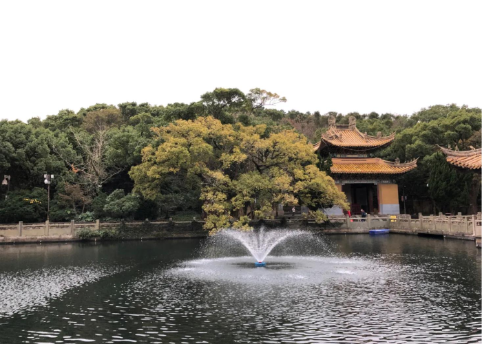 疫情大事件回顾，疫情大事件记录