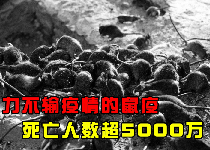 疫情最新死亡人数，疫情最新死亡人数详情