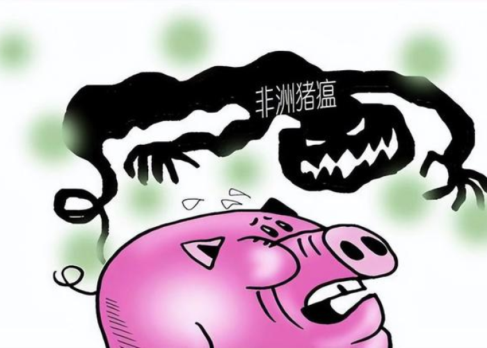 疫情开始于什么时间开始的，疫情是什么时侯开始的