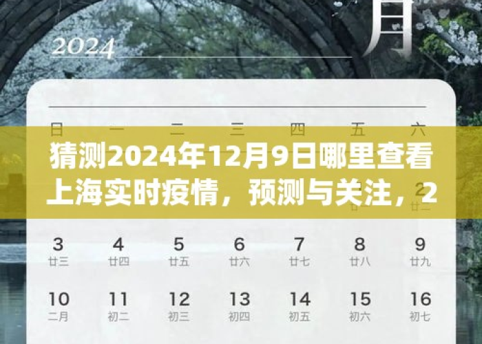 上海疫情3+11，上海疫情最新情况2024