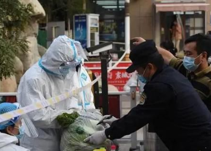 上海的疫情什么情况，上海疫情怎么回事