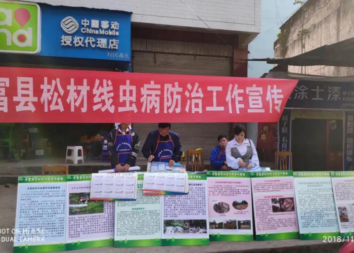 2019年疫情是怎么引起的，19年疫情爆发