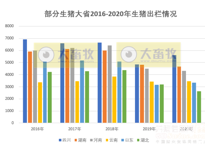 2020年疫情是怎么来的，2020疫情到底怎么回事