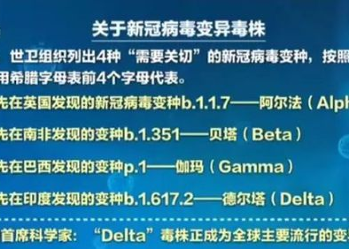 疫情病毒名字，疫情病毒叫什么名字有什么特征