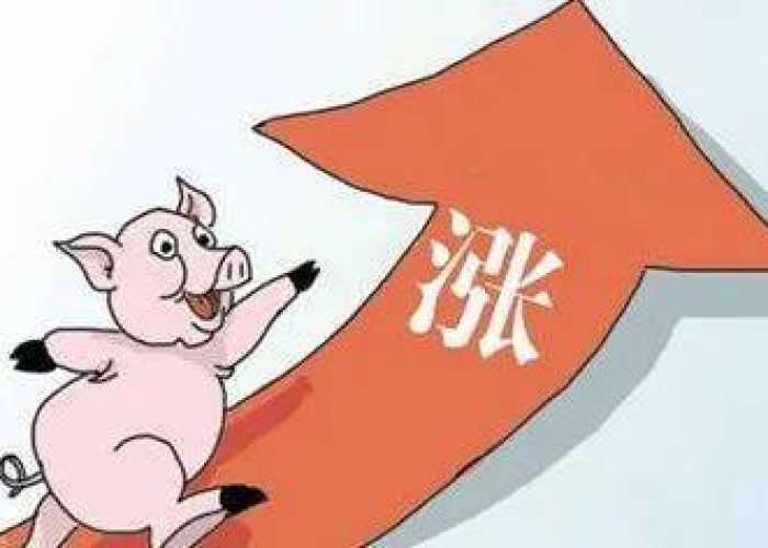 2018年还没有疫情，2018年有没有疫情