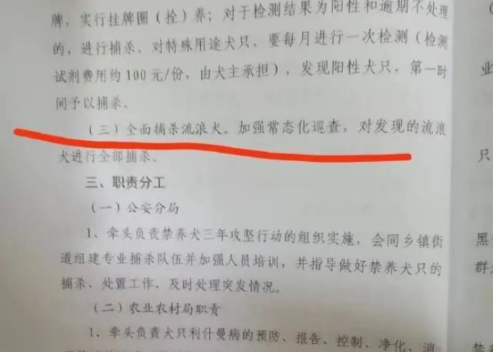 疫情是什么时候全面开放的文件，疫情是什么时候全面开放的文件呢