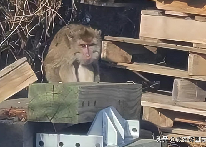 疫情最新疫情消息，疫情最新消息病状