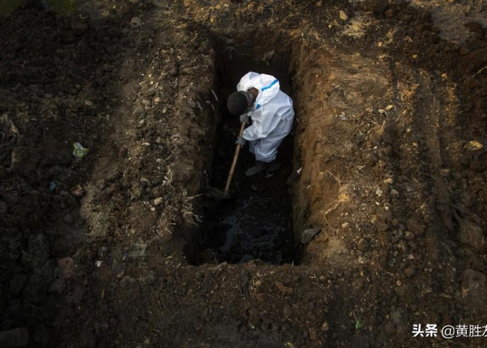 全球疫情最新消息死了多少人口，全球疫情死亡情况