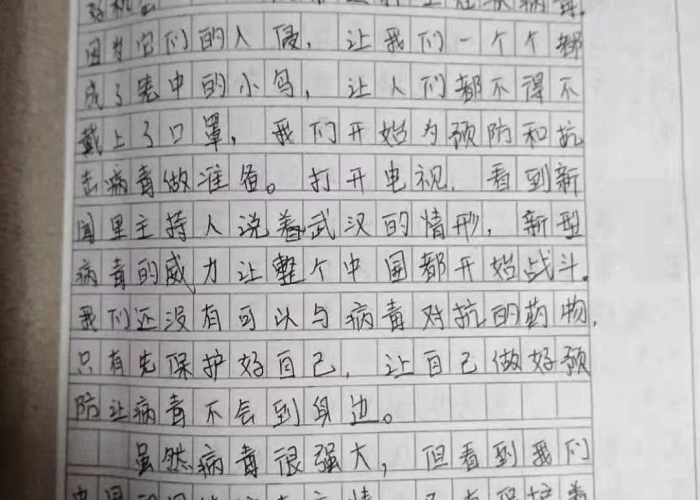 描写中国疫情的作文600字，有关中国疫情的作文500字