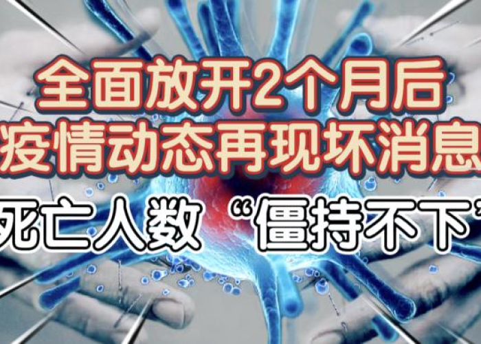 疫情突然传来坏消息，疫情突然袭来