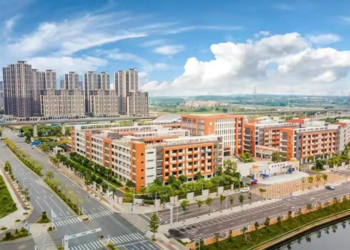 去年疫情，去年疫情叫什么
