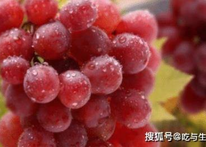 疫情解封后市场环境，疫情下市场环境的变化