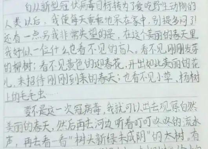 我和疫情的故事2000字，我和疫情的故事2000字怎么写