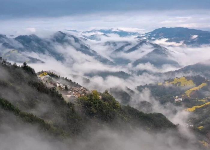 疫情地图颜色变化的原因，疫情地图变化图