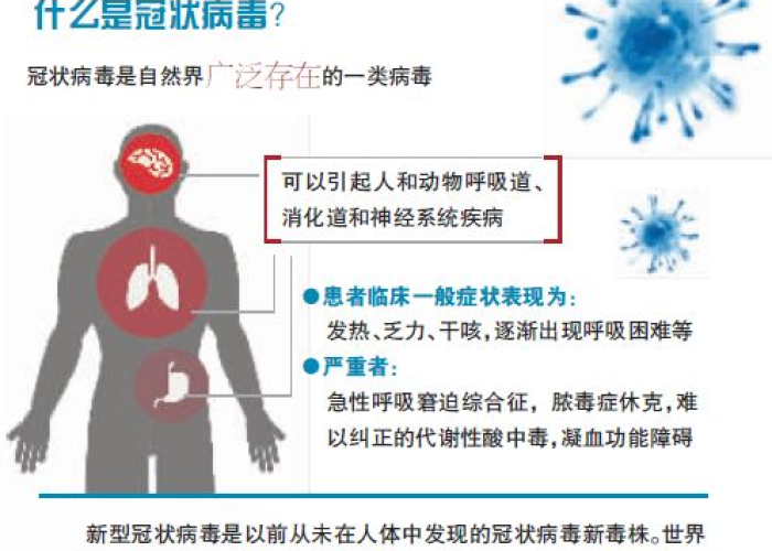 最新疫情病毒的名字，最新疫情病毒介绍