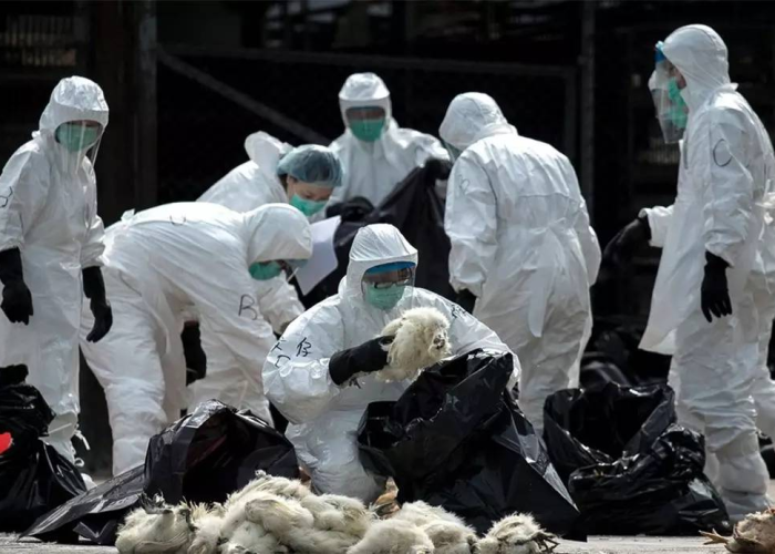 武汉疫情伤了多少人，疫情武汉有多惨